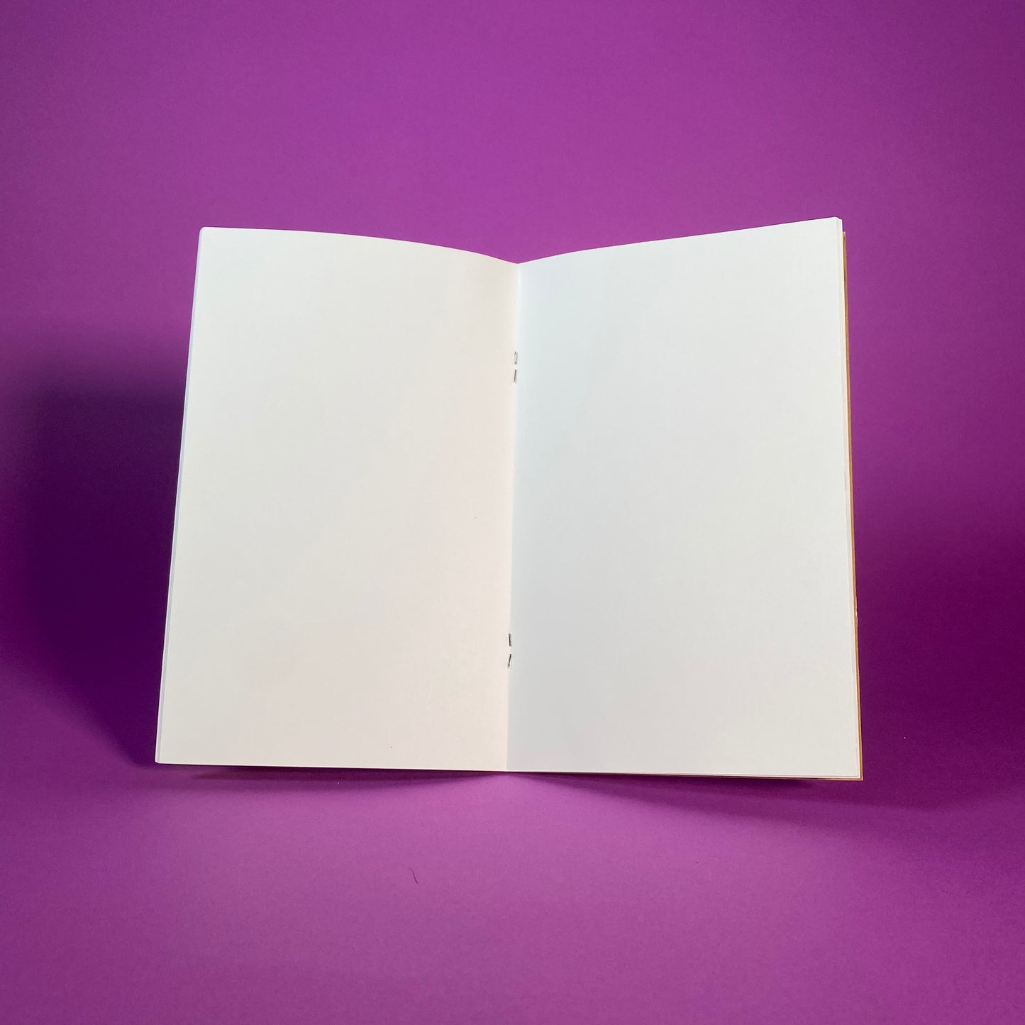 Gon & Killua Hand Painted Notebooks