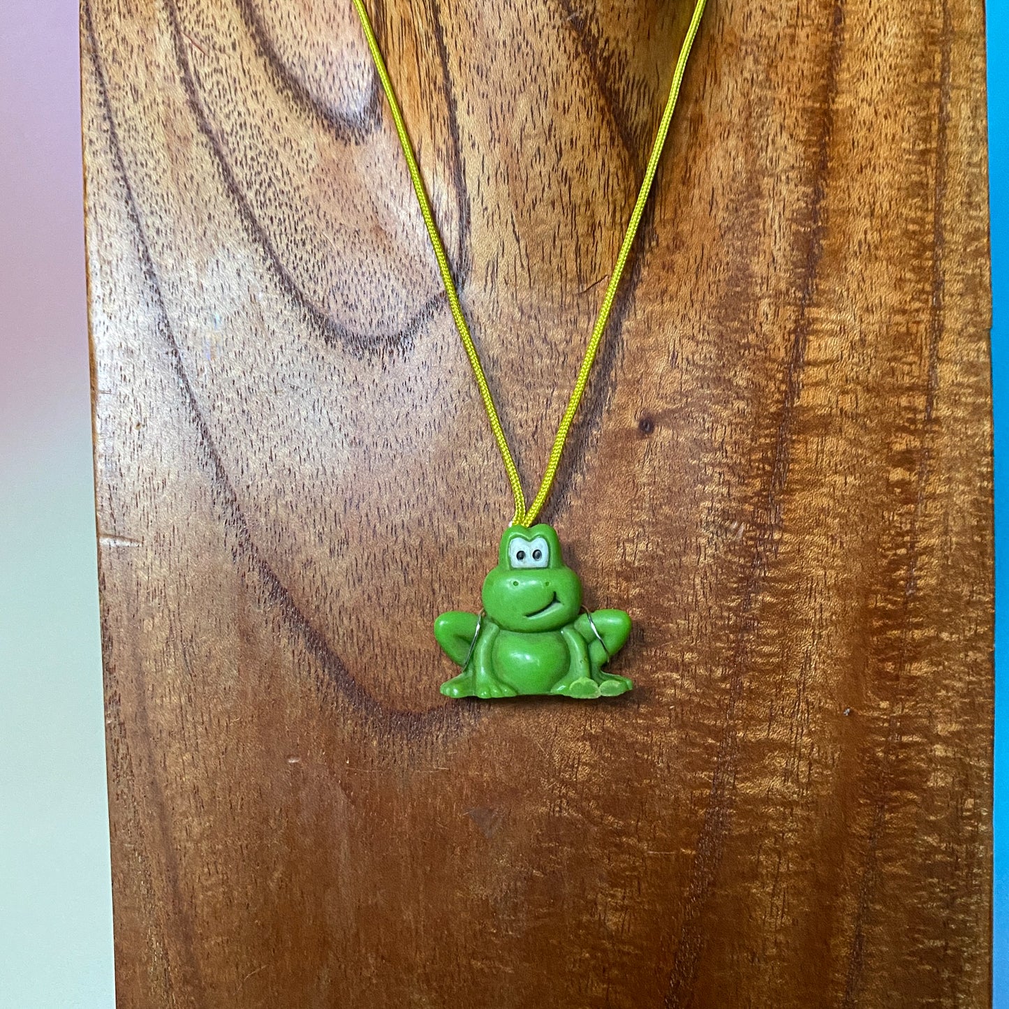 Frog Trinket Necklace