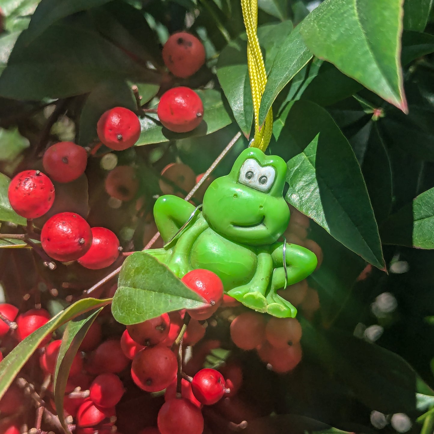 Frog Trinket Necklace
